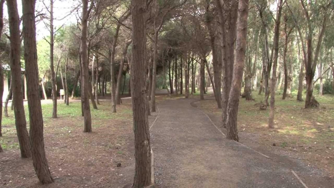 La Dolce Vita, Relax & Kite Lamezia 拉默齐亚泰尔默 外观 照片